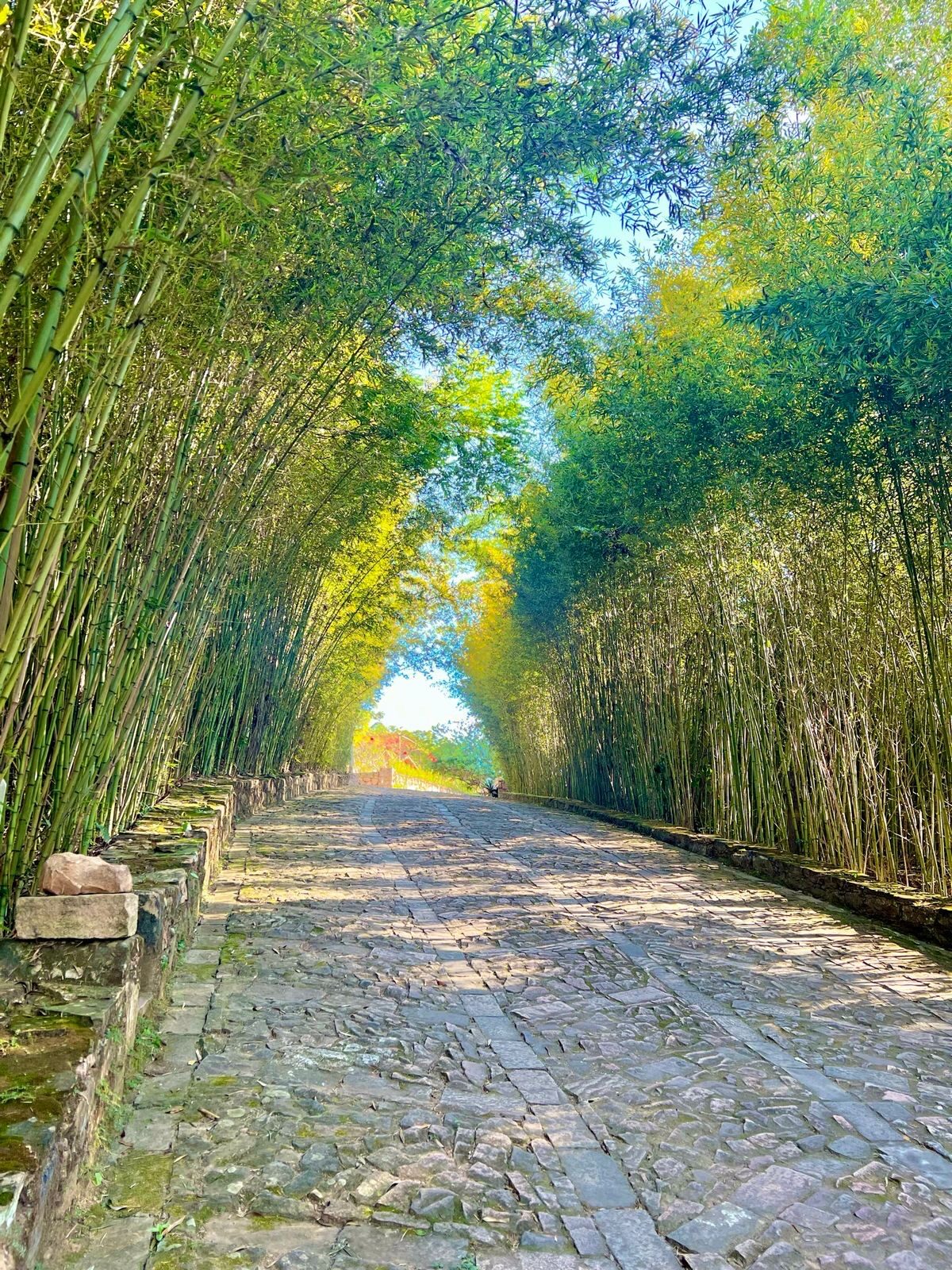 Alameda de bambus